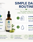 Ceela Body Wash – Common-Allergen Free