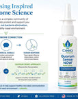 Quorum Sense NOW! CLA Nasal Spray | Preservative-Free Nasal Microbiome Support